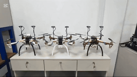 Coordinated Drone Swarms for Precision Agriculture and Fisheries