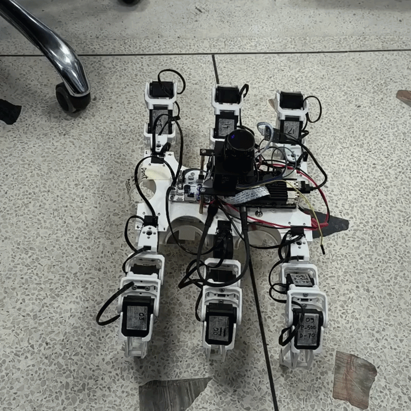 Project Hexa: Modular Hexapod Research Platform for Terrain-Adaptive Autonomy